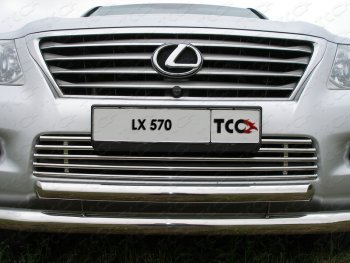 12 299 р. Декоративная вставка переднего бампера (кроме F-Sport) ТСС Тюнинг  Lexus LX570  J200 (2007-2012) дорестайлинг (d 16 мм)  с доставкой в г. Владивосток. Увеличить фотографию 1