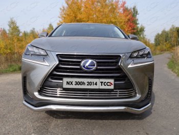 7 699 р. Декоративная вставка решетки радиатора (кроме F-Sport) ТСС Тюнинг  Lexus NX300h  Z10 (2014-2017) дорестайлинг (d 12 мм)  с доставкой в г. Владивосток. Увеличить фотографию 1