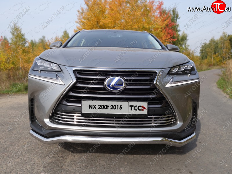 7 699 р. Декоративная вставка переднего бампера (кроме F-Sport) ТСС Тюнинг  Lexus NX200T  Z10 (2014-2017) (d 12 мм)  с доставкой в г. Владивосток