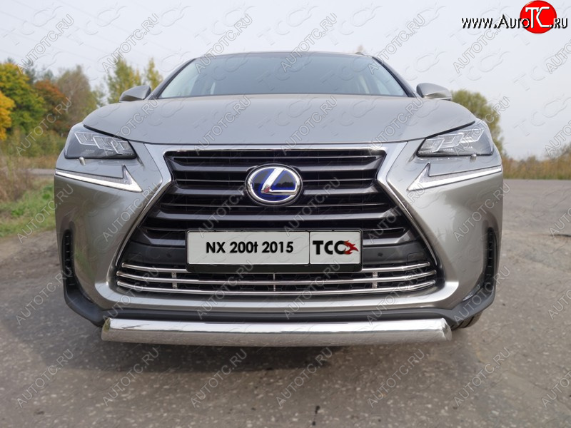 9 349 р. Декоративная вставка переднего бампера (кроме F-Sport) ТСС Тюнинг  Lexus NX200T  Z10 (2014-2017) (d 16 мм)  с доставкой в г. Владивосток