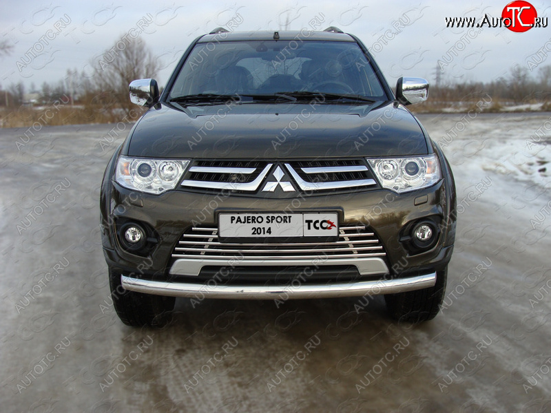 9 349 р. Декоративная вставка решетки радиатора ТСС Тюнинг  Mitsubishi Pajero Sport  PB (2013-2017) рестайлинг (d 16 мм)  с доставкой в г. Владивосток