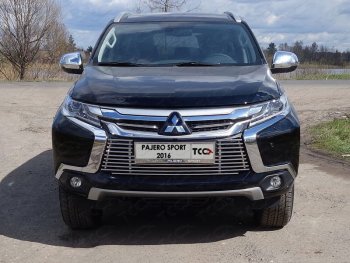 9 349 р. Декоративная вставка решетки радиатора ТСС Тюнинг  Mitsubishi Pajero Sport  QE (2015-2021) дорестайлинг (d 12 мм)  с доставкой в г. Владивосток. Увеличить фотографию 1