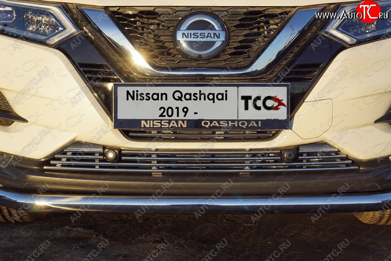 9 199 р. Декоративная вставка решетки радиатора ТСС Тюнинг  Nissan Qashqai  2 (2017-2022) J11 рестайлинг (d 12 мм)  с доставкой в г. Владивосток