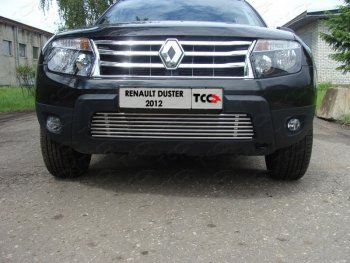 7 699 р. Декоративная вставка переднего бампера ТСС Тюнинг  Renault Duster  HS (2010-2015) дорестайлинг (d 12 мм)  с доставкой в г. Владивосток. Увеличить фотографию 1