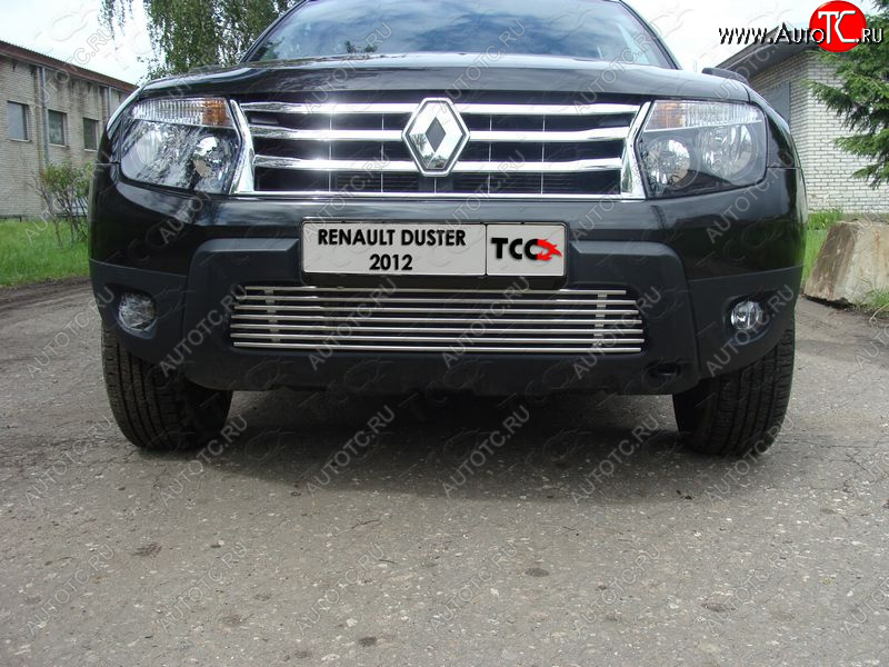 7 699 р. Декоративная вставка переднего бампера ТСС Тюнинг  Renault Duster  HS (2010-2015) дорестайлинг (d 12 мм)  с доставкой в г. Владивосток