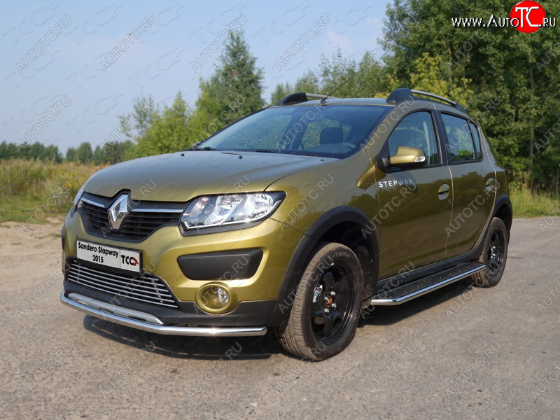 12 299 р. Защита переднего бампера нижняя d42,4 мм ТСС Тюнинг  Renault Sandero Stepway  (B8) (2014-2018) дорестайлинг (нержавейка)  с доставкой в г. Владивосток