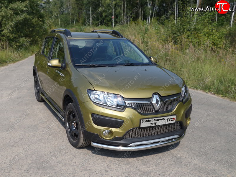 15 549 р. Защита переднего бампера нижняя d60,3 мм ТСС Тюнинг  Renault Sandero Stepway  (B8) (2014-2018) дорестайлинг (нержавейка)  с доставкой в г. Владивосток