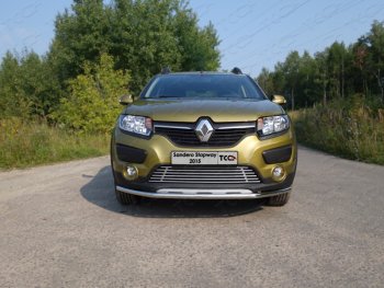 7 699 р. Нижняя декоративная вставка в бампер ТСС Тюнинг  Renault Sandero Stepway  (B8) (2014-2018) дорестайлинг (d 12 мм)  с доставкой в г. Владивосток. Увеличить фотографию 1