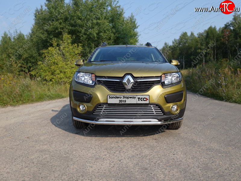 7 699 р. Нижняя декоративная вставка в бампер ТСС Тюнинг  Renault Sandero Stepway  (B8) (2014-2018) дорестайлинг (d 12 мм)  с доставкой в г. Владивосток