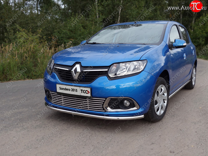 9 349 р. Нижняя декоративная вставка в бампер ТСС Тюнинг  Renault Sandero  (B8) (2014-2018) дорестайлинг (d 12 мм)  с доставкой в г. Владивосток