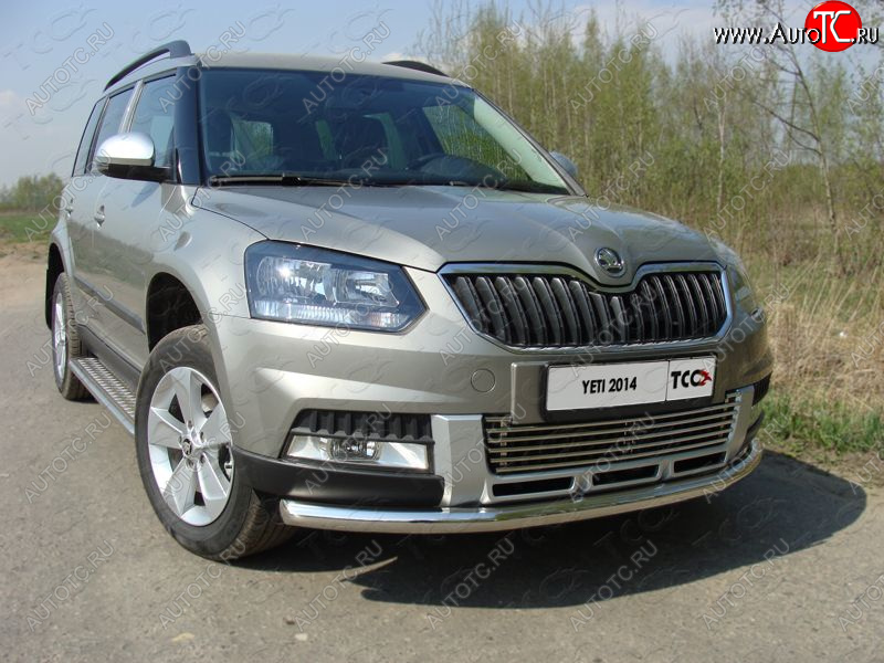 19 999 р. Защита переднего бампера нижняя d60,3 мм ТСС Тюнинг  Skoda Yeti (2013-2018) (нержавейка)  с доставкой в г. Владивосток