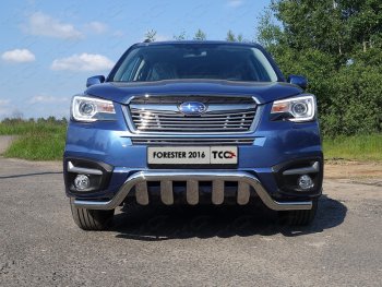 3 099 р. Средняя декоративная вставка в бампер ТСС Тюнинг  Subaru Forester  SJ (2016-2019) рестайлинг (d 12 мм)  с доставкой в г. Владивосток. Увеличить фотографию 1