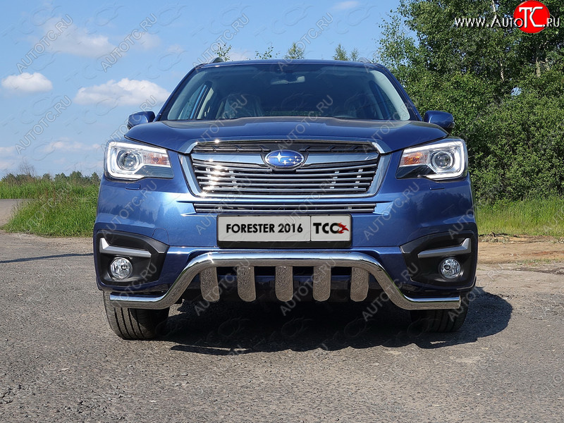 3 099 р. Средняя декоративная вставка в бампер ТСС Тюнинг  Subaru Forester  SJ (2016-2019) рестайлинг (d 12 мм)  с доставкой в г. Владивосток