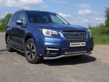 4 649 р. Нижняя декоративная вставка в бампер ТСС Тюнинг  Subaru Forester  SJ (2016-2019) рестайлинг (d 12 мм)  с доставкой в г. Владивосток. Увеличить фотографию 1