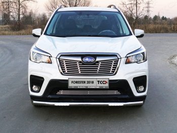 Защита переднего бампера нижняя с ДХО 60,3 мм ТСС Тюнинг Subaru (Субару) Forester (Форестер)  SK/S14 (2018-2021) SK/S14 дорестайлинг  (нержавейка)