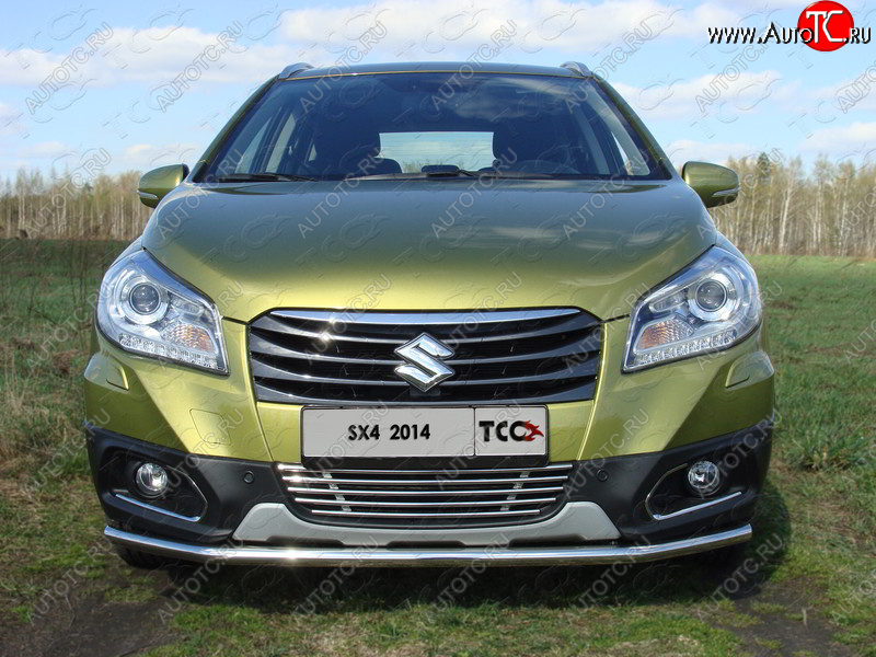 6 099 р. Декоративная вставка решетки радиатора ТСС Тюнинг  Suzuki SX4  JYB, JYA (2013-2016) хэтчбэк дорестайлинг (d 12 мм)  с доставкой в г. Владивосток