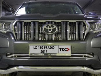 7 699 р. Нижняя декоративная вставка в бампер ТСС Тюнинг  Toyota Land Cruiser Prado  J150 (2017-2020) 2-ой рестайлинг (d 12 мм)  с доставкой в г. Владивосток. Увеличить фотографию 1