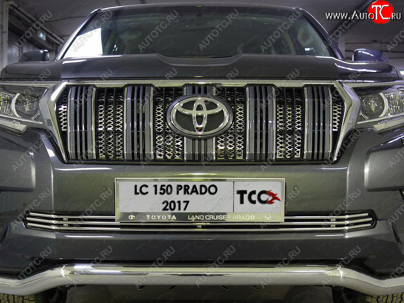 7 699 р. Нижняя декоративная вставка в бампер ТСС Тюнинг  Toyota Land Cruiser Prado  J150 (2017-2020) 2-ой рестайлинг (d 12 мм)  с доставкой в г. Владивосток