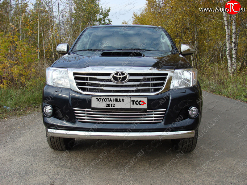 12 299 р. Декоративная вставка переднего бампера ТСС Тюнинг  Toyota Hilux  AN20,AN30 (2011-2016)  2-ой рестайлинг (d 16 мм)  с доставкой в г. Владивосток