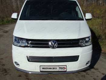 9 349 р. Декоративная вставка переднего бампера ТСС Тюнинг  Volkswagen Multivan  T5 (2009-2015) рестайлинг (d 12 мм)  с доставкой в г. Владивосток. Увеличить фотографию 1