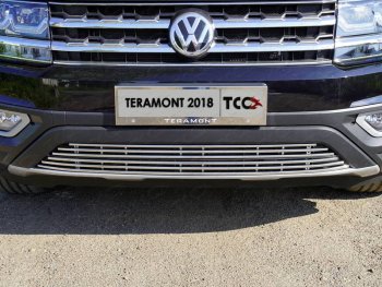 9 349 р. Нижняя декоративная вставка в бампер ТСС Тюнинг  Volkswagen Teramont  CA1 (2016-2020) дорестайлинг (d 12 мм)  с доставкой в г. Владивосток. Увеличить фотографию 1