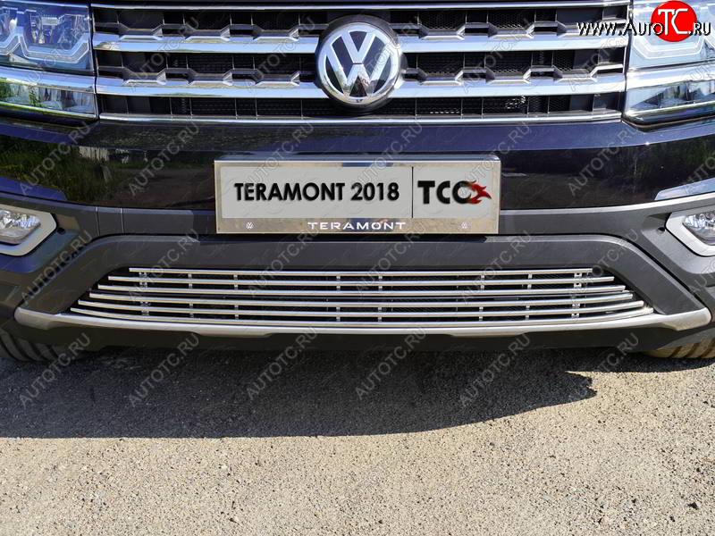 9 349 р. Нижняя декоративная вставка в бампер ТСС Тюнинг  Volkswagen Teramont  CA1 (2016-2020) дорестайлинг (d 12 мм)  с доставкой в г. Владивосток