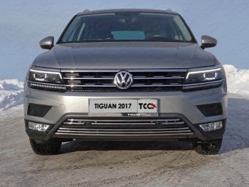 Верхняя декоративная вставка решетки радиатора (пакет Offroad) ТСС Тюнинг Volkswagen Tiguan Mk2 дорестайлинг (2016-2020) ()