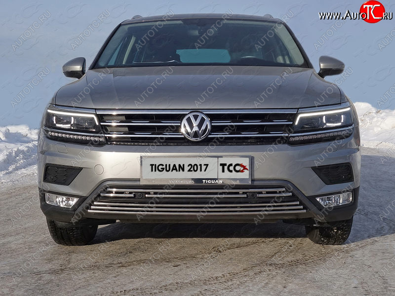 7 699 р. Нижняя декоративная вставка в бампер (пакет Offroad) ТСС Тюнинг  Volkswagen Tiguan  Mk2 (2016-2020) дорестайлинг (d 16 мм)  с доставкой в г. Владивосток