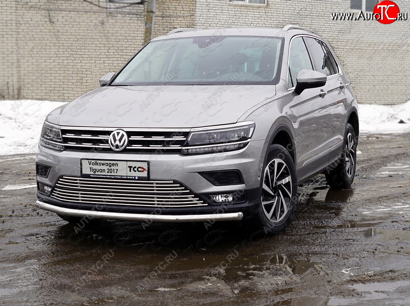 18 999 р. Защита переднего бампера нижняя d60,3 мм ТСС Тюнинг Volkswagen Tiguan Mk2 дорестайлинг (2016-2020) (нержавейка)  с доставкой в г. Владивосток