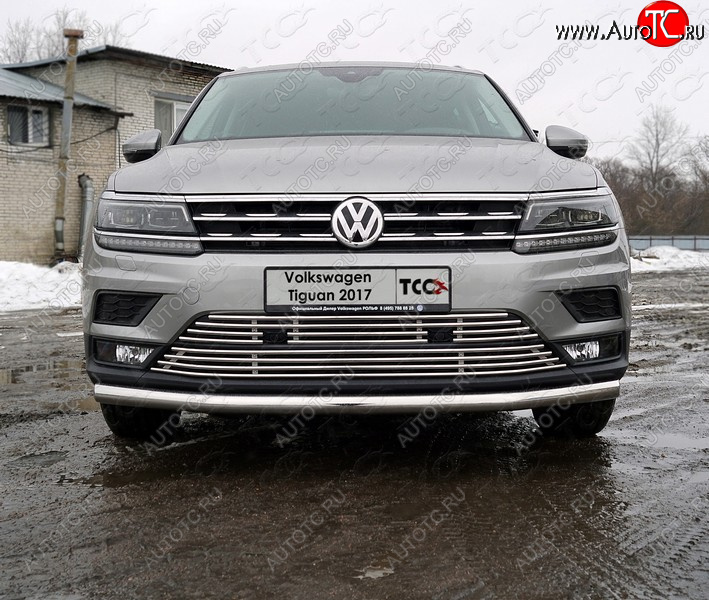 6 499 р. Верхняя декоративная вставка решетки радиатора ТСС Тюнинг Volkswagen Tiguan Mk2 дорестайлинг (2016-2020) (d 12 мм)  с доставкой в г. Владивосток