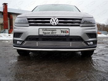 7 699 р. Нижняя декоративная вставка в бампер ТСС Тюнинг  Volkswagen Tiguan  Mk2 (2016-2020) дорестайлинг (d 12 мм)  с доставкой в г. Владивосток. Увеличить фотографию 1