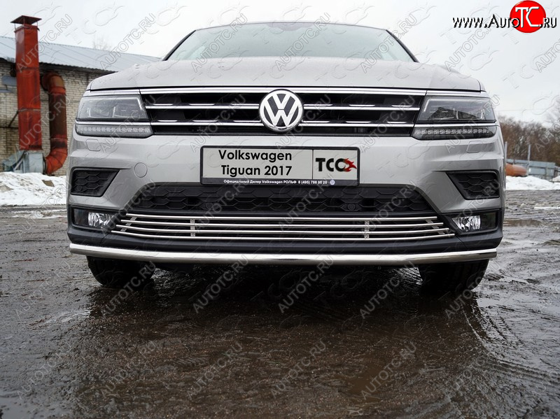 7 699 р. Нижняя декоративная вставка в бампер ТСС Тюнинг  Volkswagen Tiguan  Mk2 (2016-2020) дорестайлинг (d 12 мм)  с доставкой в г. Владивосток