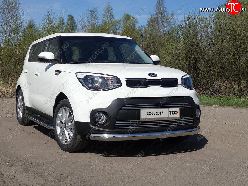 6 199 р. Рамка гос. номера ТСС Тюнинг  KIA Soul  PS (2017-2019) рестайлинг (нержавейка)  с доставкой в г. Владивосток