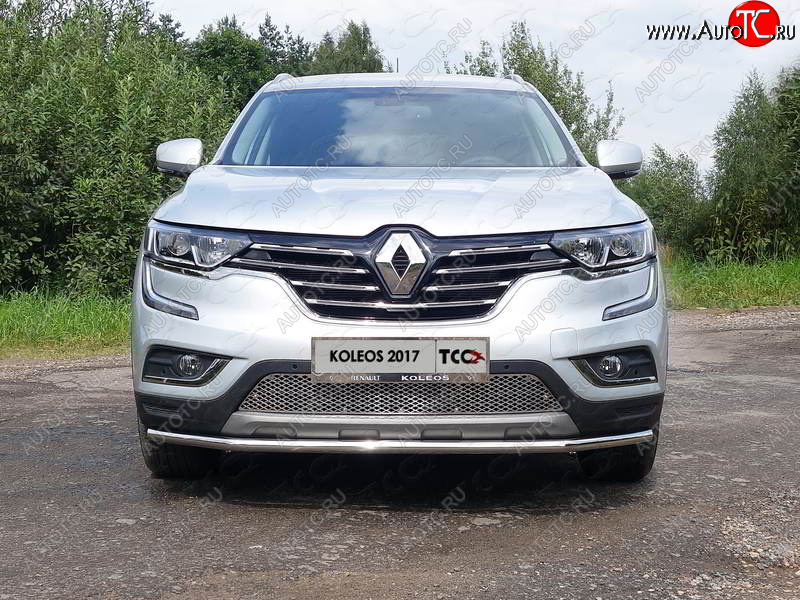 6 249 р. Рамка гос. номера ТСС Тюнинг Renault Koleos 2 (2016-2024) (нержавейка)  с доставкой в г. Владивосток