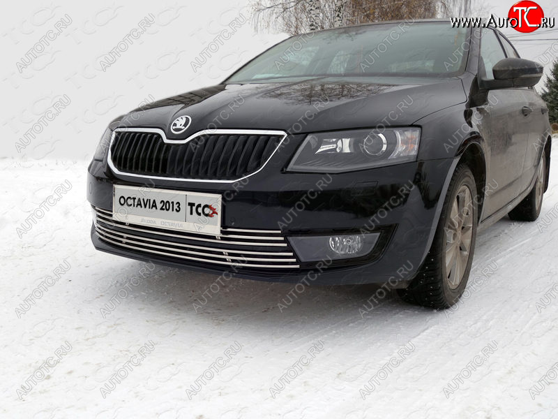 6 249 р. Рамка гос. номера ТСС Тюнинг Skoda Octavia A7 дорестайлинг лифтбэк (2012-2017) (нержавейка)  с доставкой в г. Владивосток