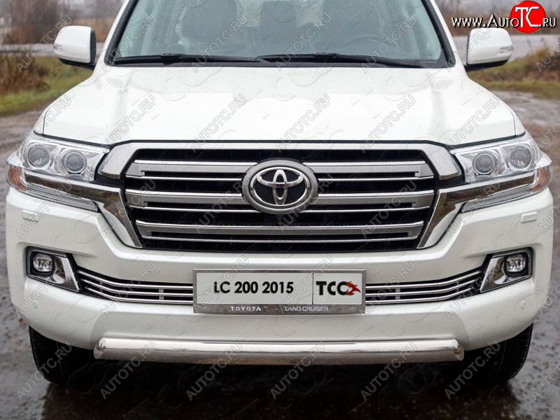 6 449 р. Рамка гос. номера ТСС Тюнинг Toyota Land Cruiser 200 2-ой рестайлинг (2015-2021) (нержавейка)  с доставкой в г. Владивосток