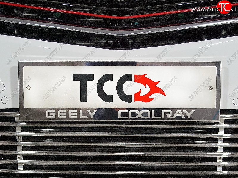 5 299 р. Рамка гос. номера ТСС Тюнинг  Geely Coolray  SX11 (2018-2023) дорестайлинг (нержавейка)  с доставкой в г. Владивосток