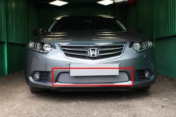 Защитная сетка в бампер (низ, ячейка 3х7 мм) Alfeco Стандарт Honda (Хонда) Accord (Аккорд) ( CU,  CW) (2011-2013) CU, CW седан рестайлинг, универсал рестайлинг