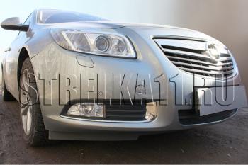 4 299 р. Защита радиатора Стрелка11 Стандарт  Opel Insignia ( A,  А) (2008-2013) дорестайлинг седан, дорестайлинг универсал, дорестайлинг, хэтчбэк (хром)  с доставкой в г. Владивосток. Увеличить фотографию 1