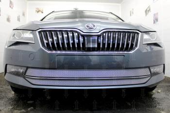 5 799 р. Защита радиатора (2 части) Стрелка11 Стандарт  Skoda Superb ( B8 (3V),  B8 (3V5)) (2015-2019) лифтбэк дорестайлинг, универсал дорестайлинг (хром)  с доставкой в г. Владивосток. Увеличить фотографию 2