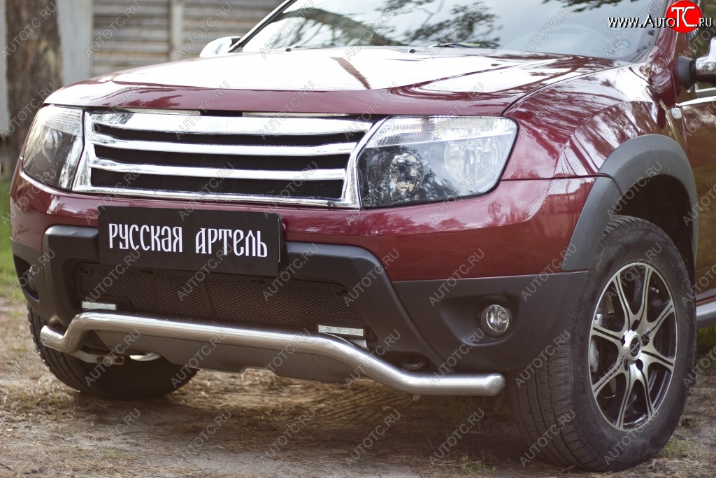 2 179 р. Защитная сетка решетки переднего бампера (c дхо и обвесом) РА  Renault Duster  HS (2010-2015) дорестайлинг  с доставкой в г. Владивосток