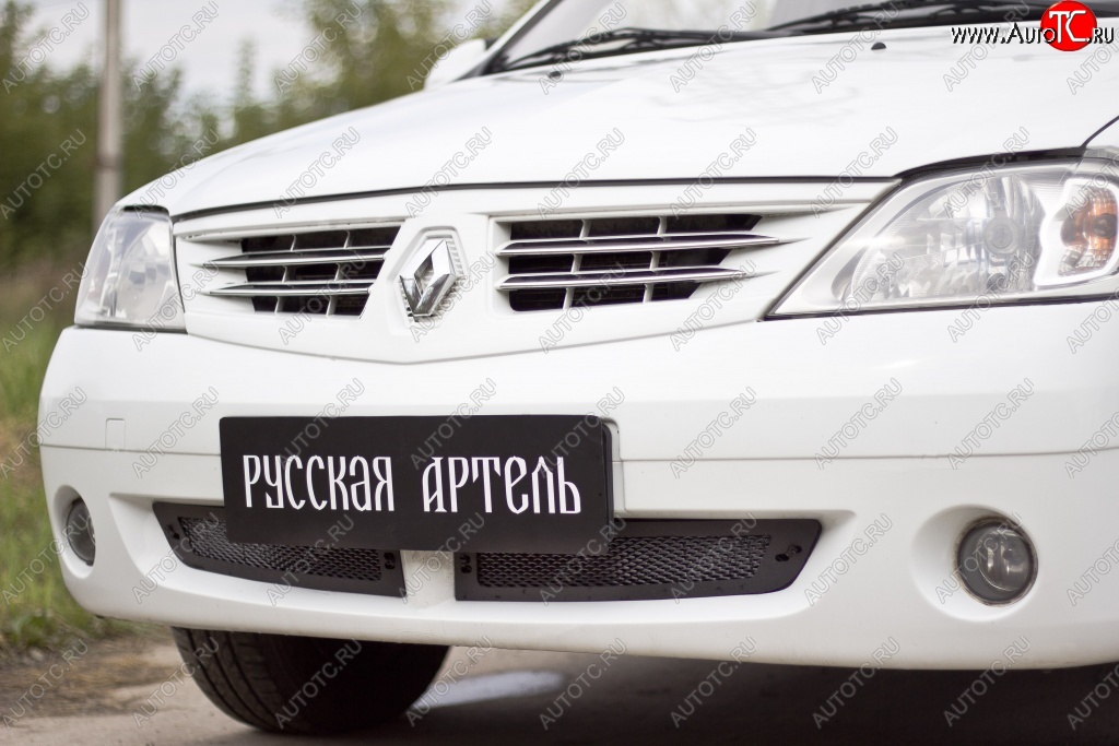 1 799 р. Защитная сетка решетки переднего бампера РА  Renault Logan  1 (2004-2010) дорестайлинг  с доставкой в г. Владивосток