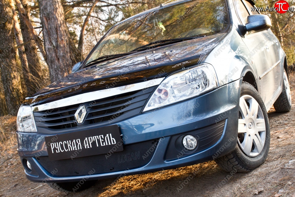 969 р. Защитная сетка решетки переднего бампера РА  Renault Logan  1 (2010-2016) рестайлинг  с доставкой в г. Владивосток