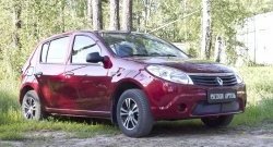 2 089 р. Защитная сетка решетки переднего бампера РА  Renault Sandero  (BS) (2009-2014)  с доставкой в г. Владивосток. Увеличить фотографию 3