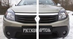 2 149 р. Защитная сетка решетки переднего бампера РА  Renault Sandero Stepway  (BS) (2010-2014)  с доставкой в г. Владивосток. Увеличить фотографию 2