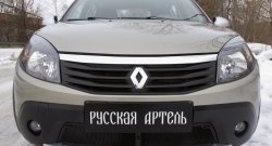 2 149 р. Защитная сетка решетки переднего бампера РА  Renault Sandero Stepway  (BS) (2010-2014)  с доставкой в г. Владивосток. Увеличить фотографию 3