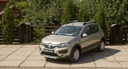 4 699 р. Молдинги дверей RA (комплект)  Renault Sandero  (B8) - Sandero Stepway  (B8) (Поверхность глянец (под окраску), Неокрашенные)  с доставкой в г. Владивосток. Увеличить фотографию 2