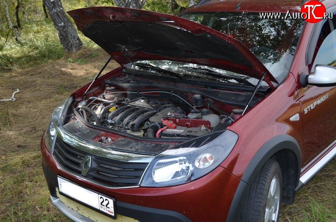 2 969 р. Упор капота Sport. Renault Sandero (BS) (2009-2014)  с доставкой в г. Владивосток