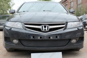 Защитная сетка радиатора в бампер (ячейка 3х7 мм) Стрелка11 Стандарт Honda (Хонда) Accord (Аккорд) ( CL,  CM) (2005-2008) CL, CM седан рестайлинг, универсал рестайлинг