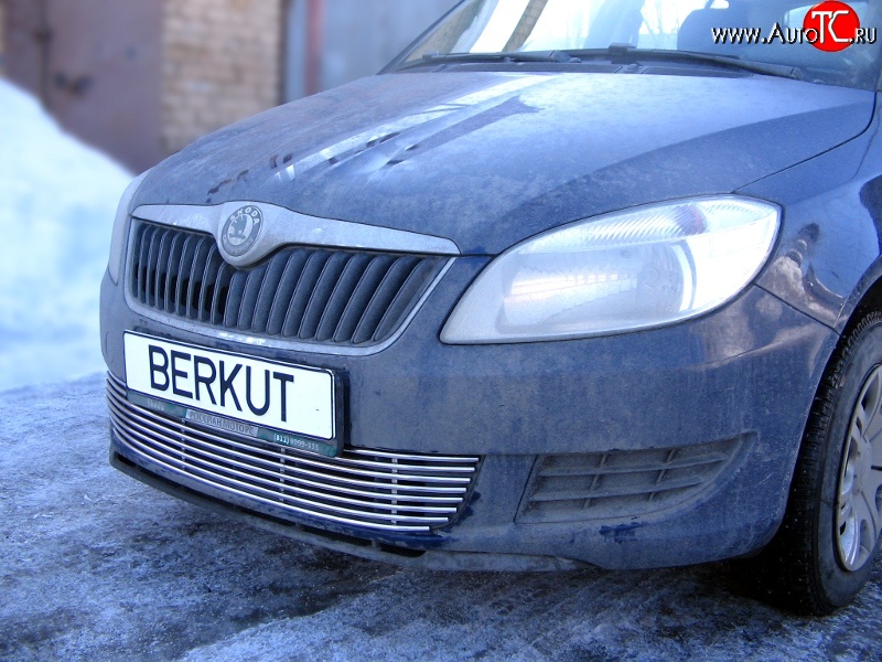 5 899 р. Декоративная вставка воздухозаборника Berkut Skoda Fabia Mk2 универсал дорестайлинг (2007-2010)  с доставкой в г. Владивосток